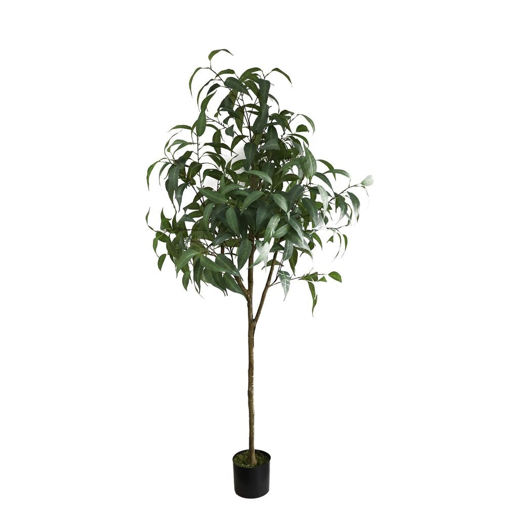 Artificial Eucalyptus Sugar Gum Tree 183cm