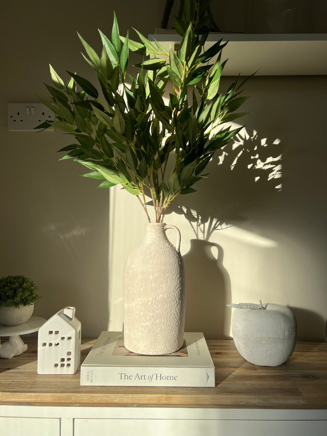 Ficus Benjamin Spray