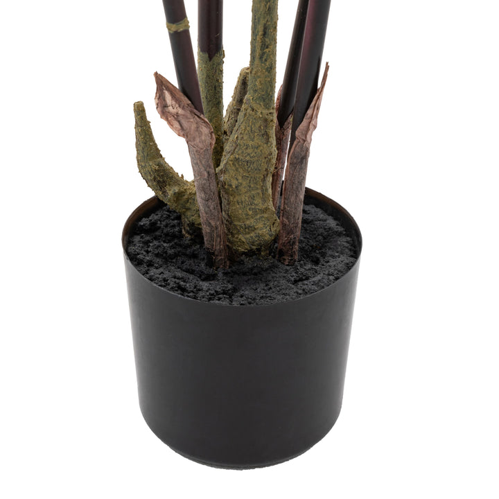 Potted Bamboo Tree | Large