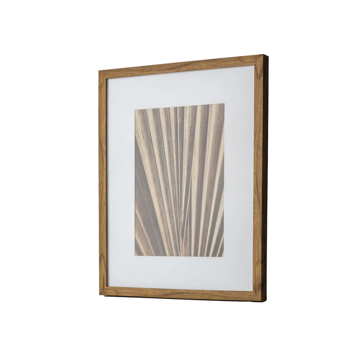 Sabal Framed Art 50cm