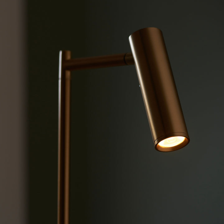 Brass Reading Light Floor Lamp