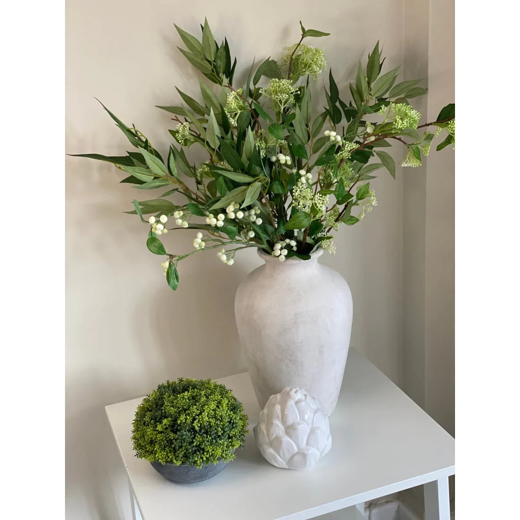 Ficus Benjamen and Cream Berry Arrangement