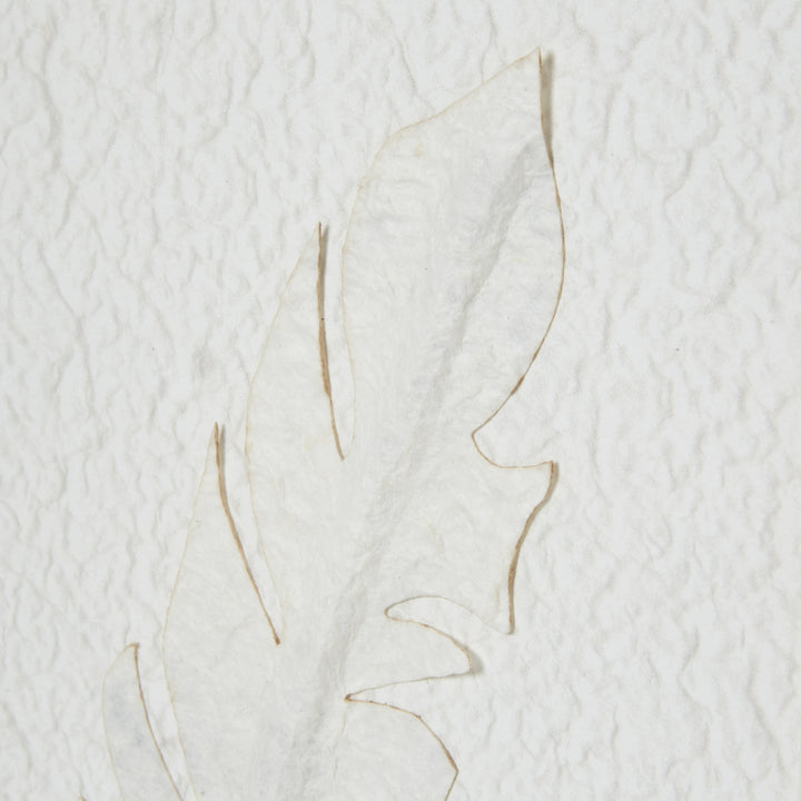 Feather Impression in Beaded Frame