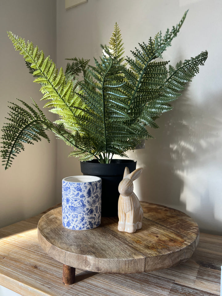 Fern In Pot 55cm