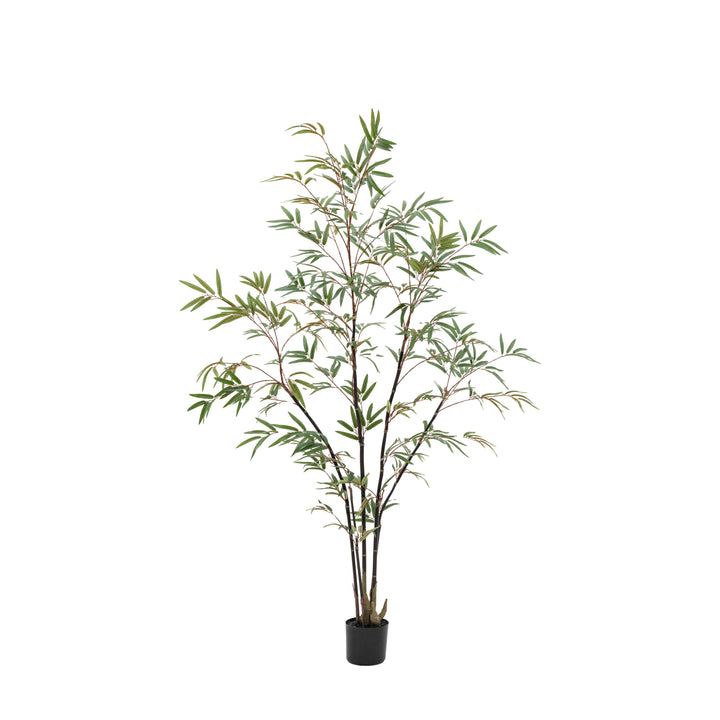 Potted Bamboo Tree | Large