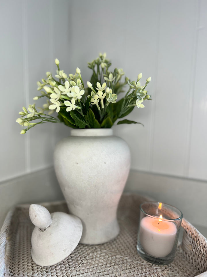 Darcy Stone Ginger Jar