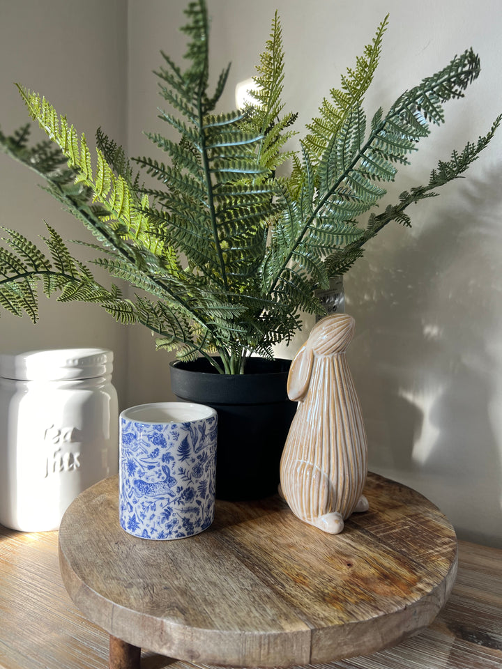 Fern In Pot 55cm