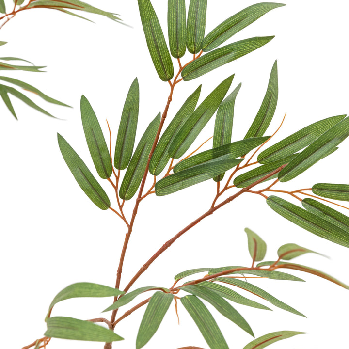 Potted Bamboo Tree | Large