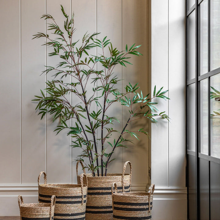 Potted Bamboo Tree | Large