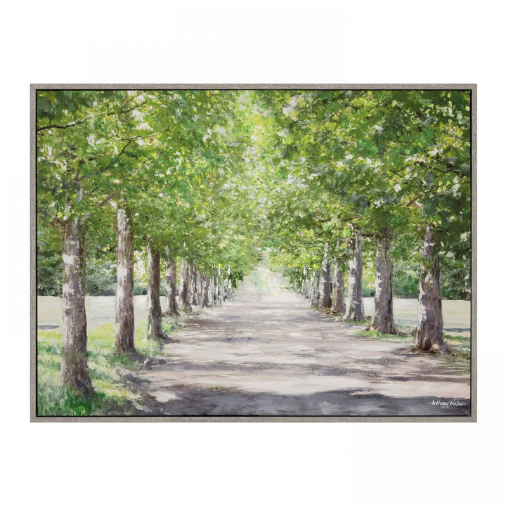 Avenue of Trees Framed Canvas