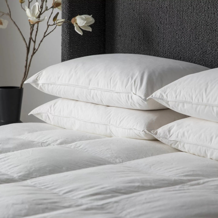 Simply Sleep Anti Allergy Microfibre Pillow