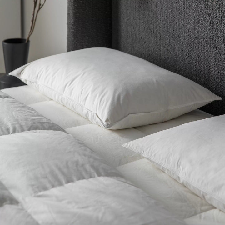 Simply Sleep Anti Allergy Microfibre Pillow