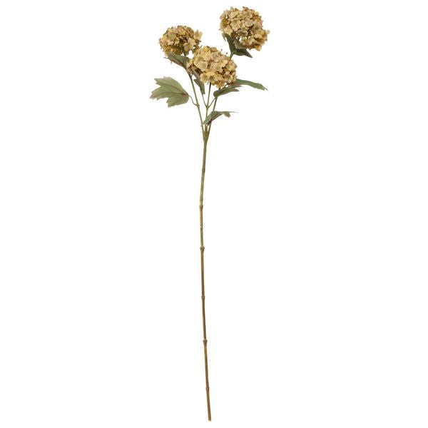 Viburnum Spray Light Brown (82cm)