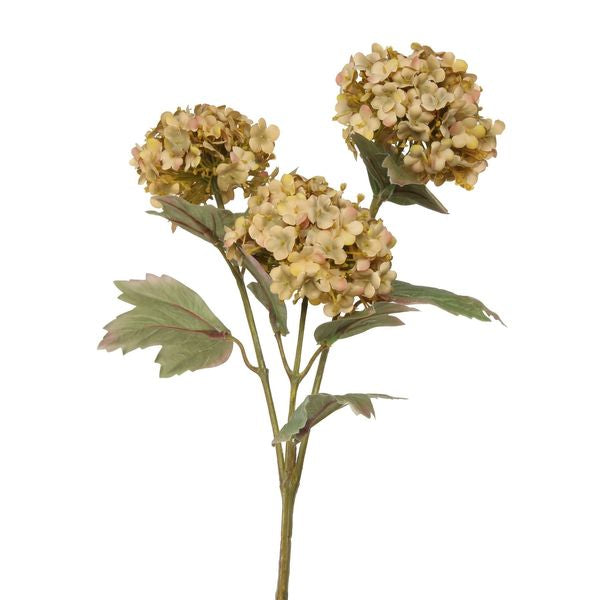 Viburnum Spray Light Brown (82cm)
