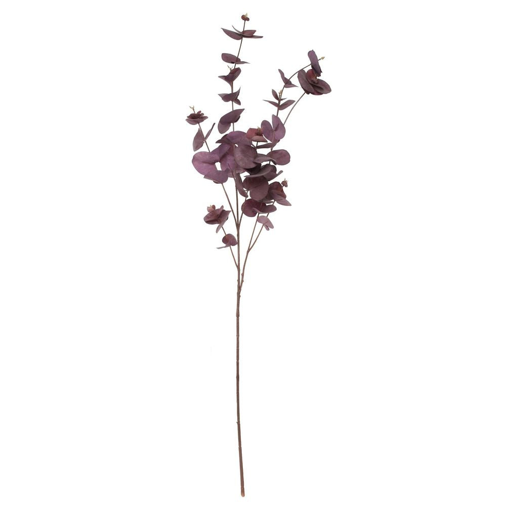 Balmoral Eucalyptus Burgundy x3 (90cm)