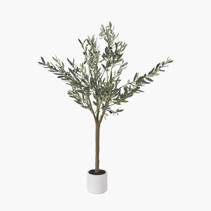 Medium Olive Tree in Pot 150cm