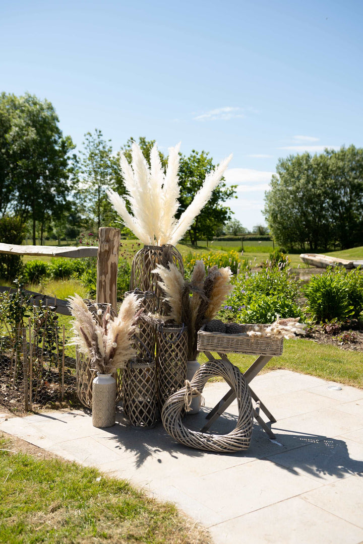 Bunch of 8 Pampas Grass Stem 100cm