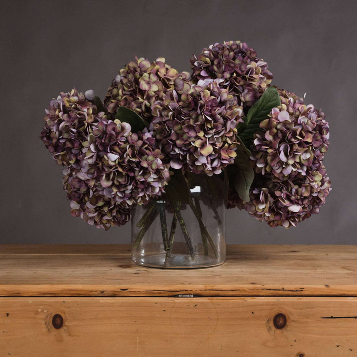 Burgundy Hydrangea Bouquet x 7 stems
