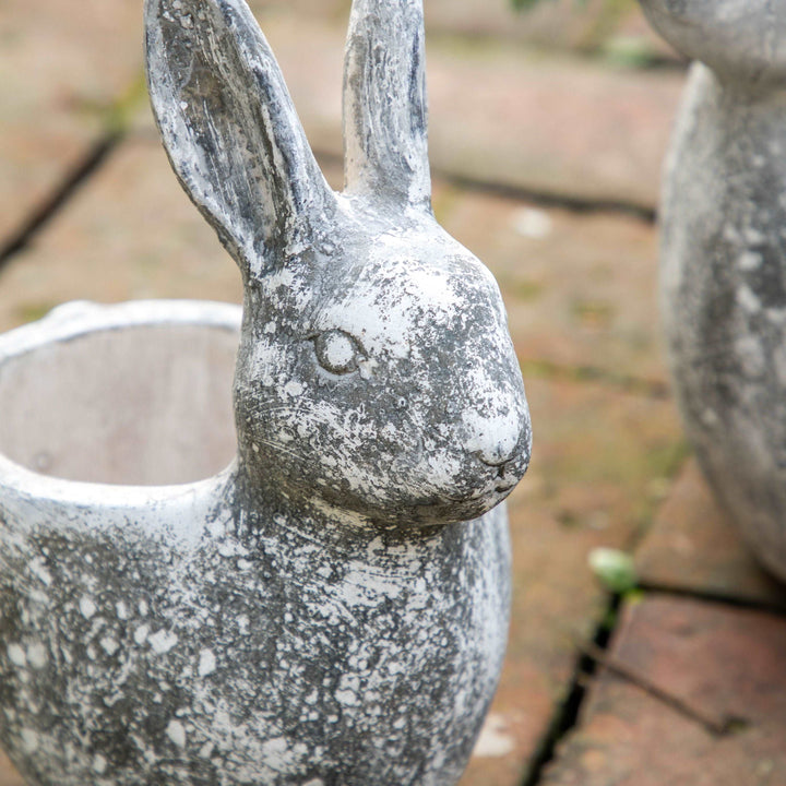 Bunny Pot
