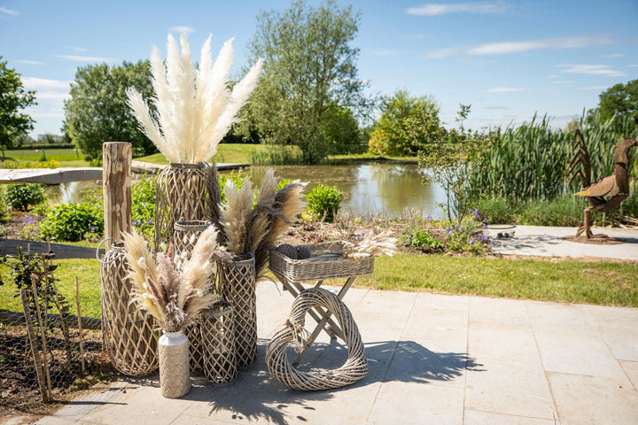 Bunch of 8 Pampas Grass Stem 100cm