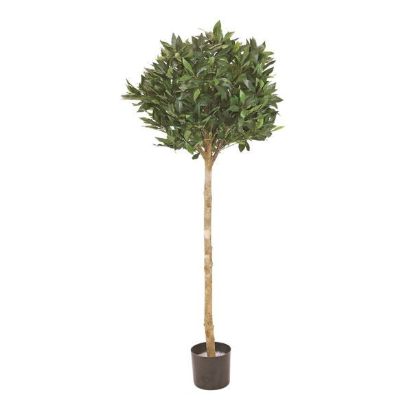 Artificial Green Sweet Bay Ball Tree (4ft)