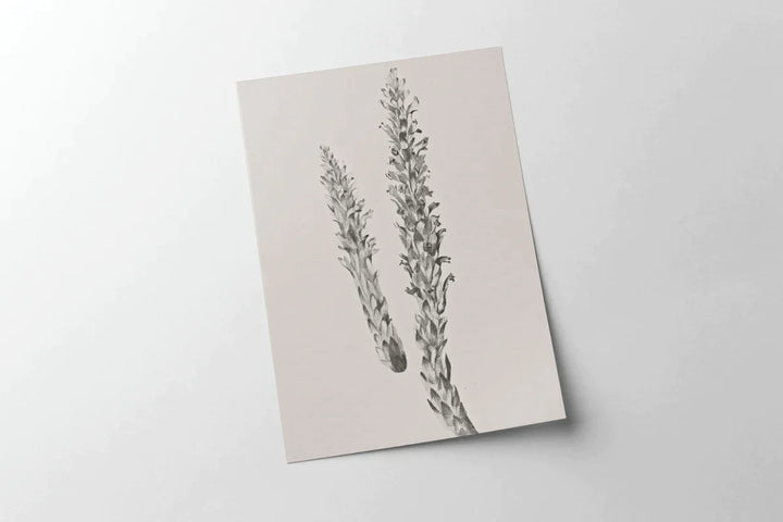 Simple Vintage Botanical Stem Print