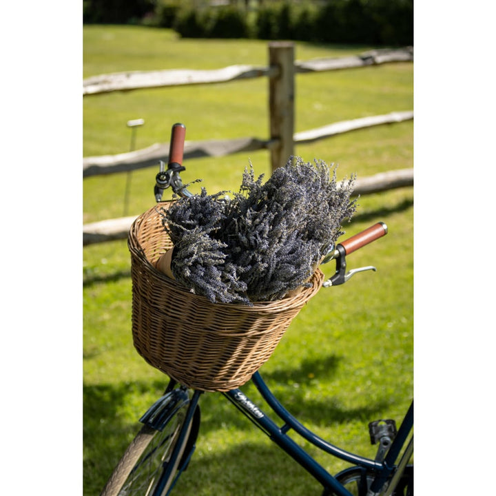Dried lavender Bunch 60cm - Dried Flowers