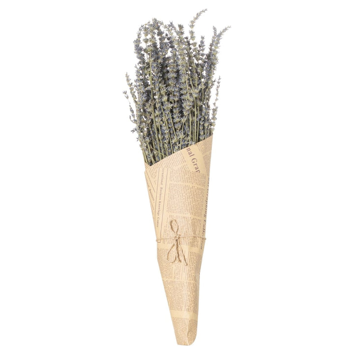Dried lavender Bunch - Dried Flowers