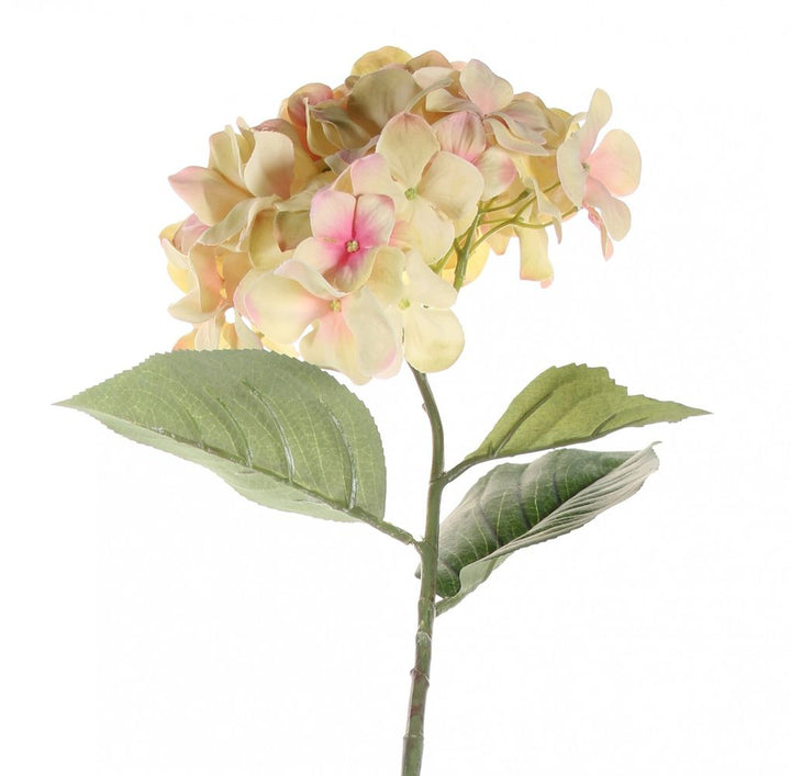 Single Large Hydrangea Cream Blush 68cm