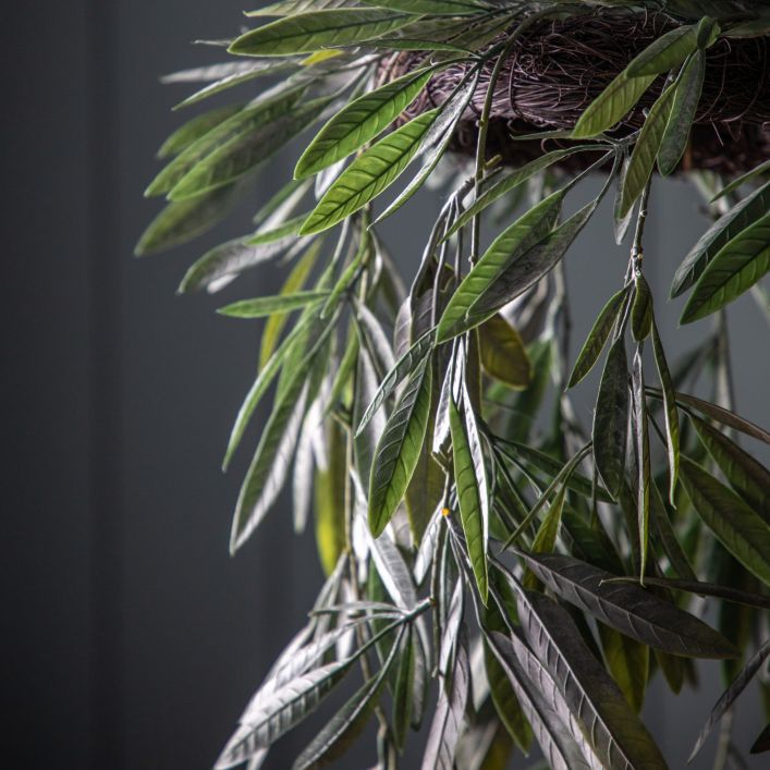 Eucalyptus Hanging Wreath