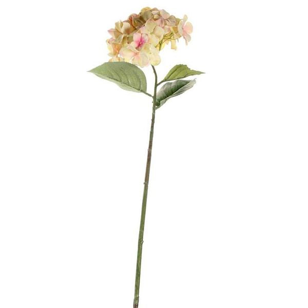 Single Large Hydrangea Cream Blush 68cm