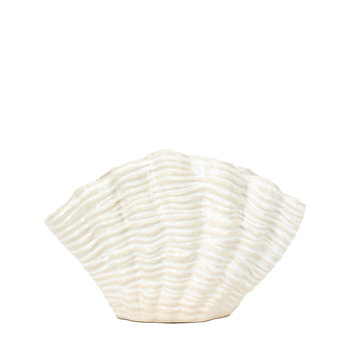 Clam Display Vase