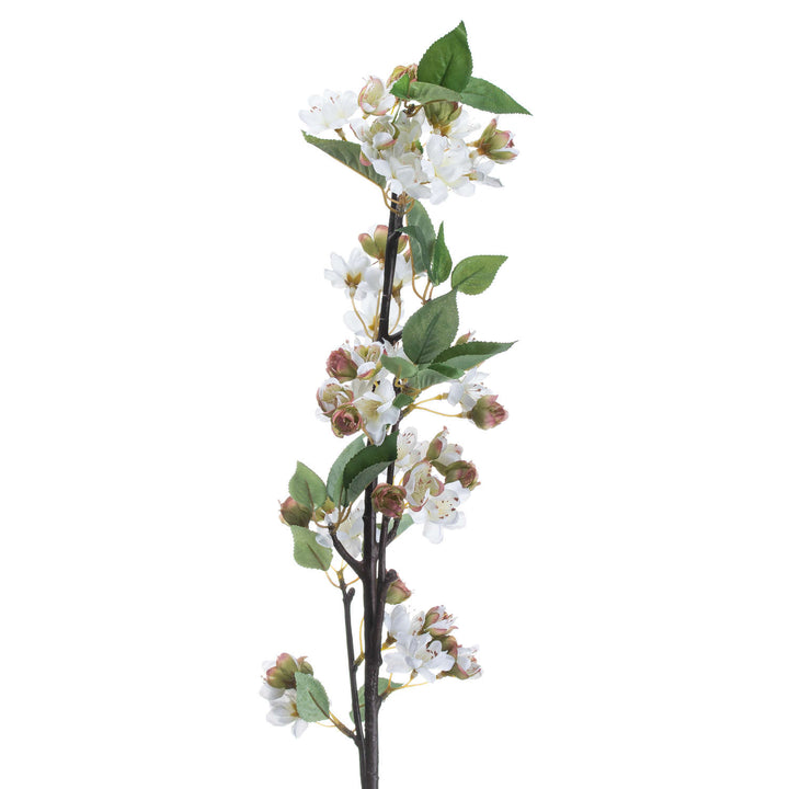 English Blossom Spray x 3 stems