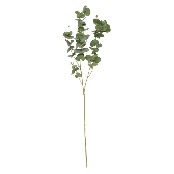 Premium Eucalyptus Single Spray 93cm