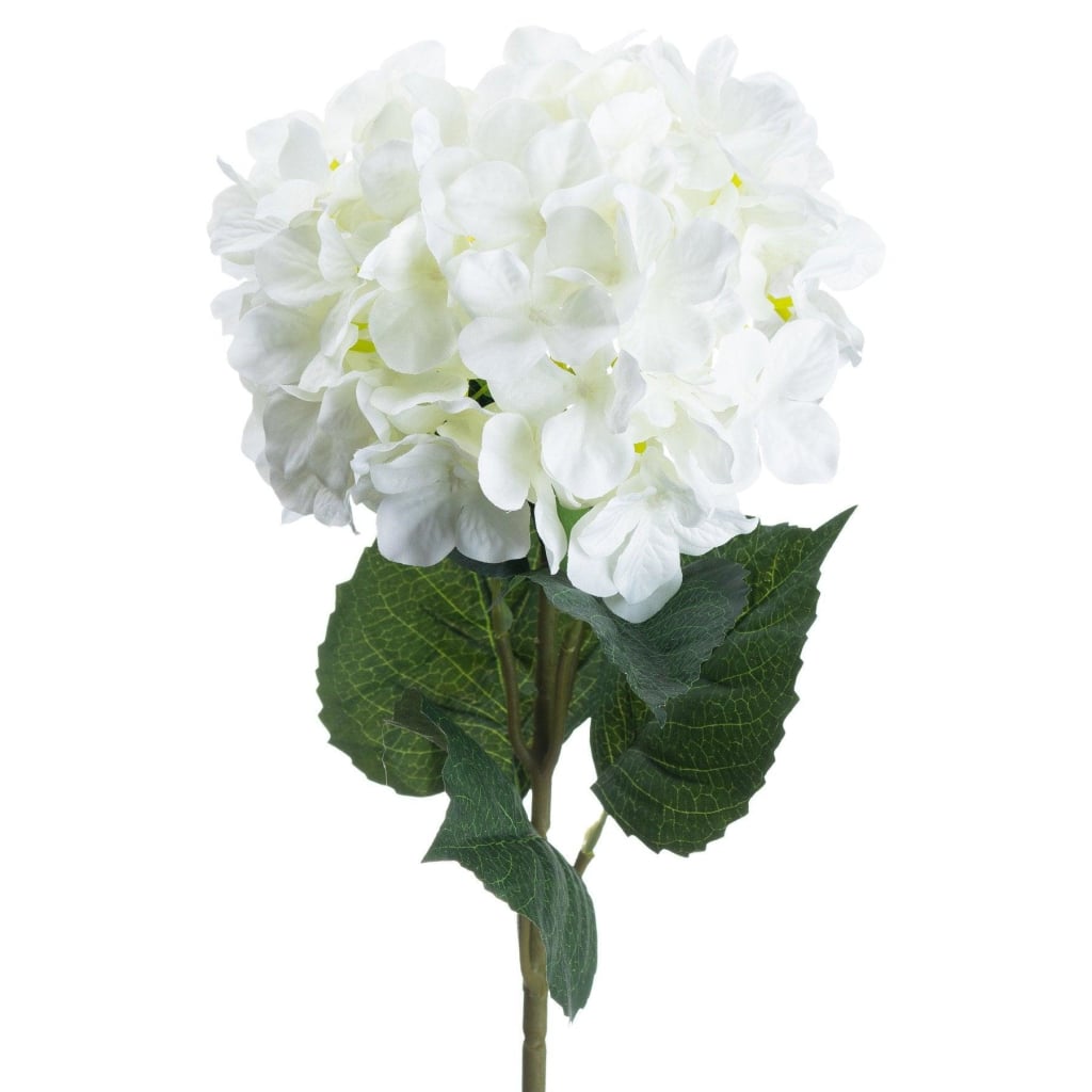 Single White Hydrangea - Home Pieces