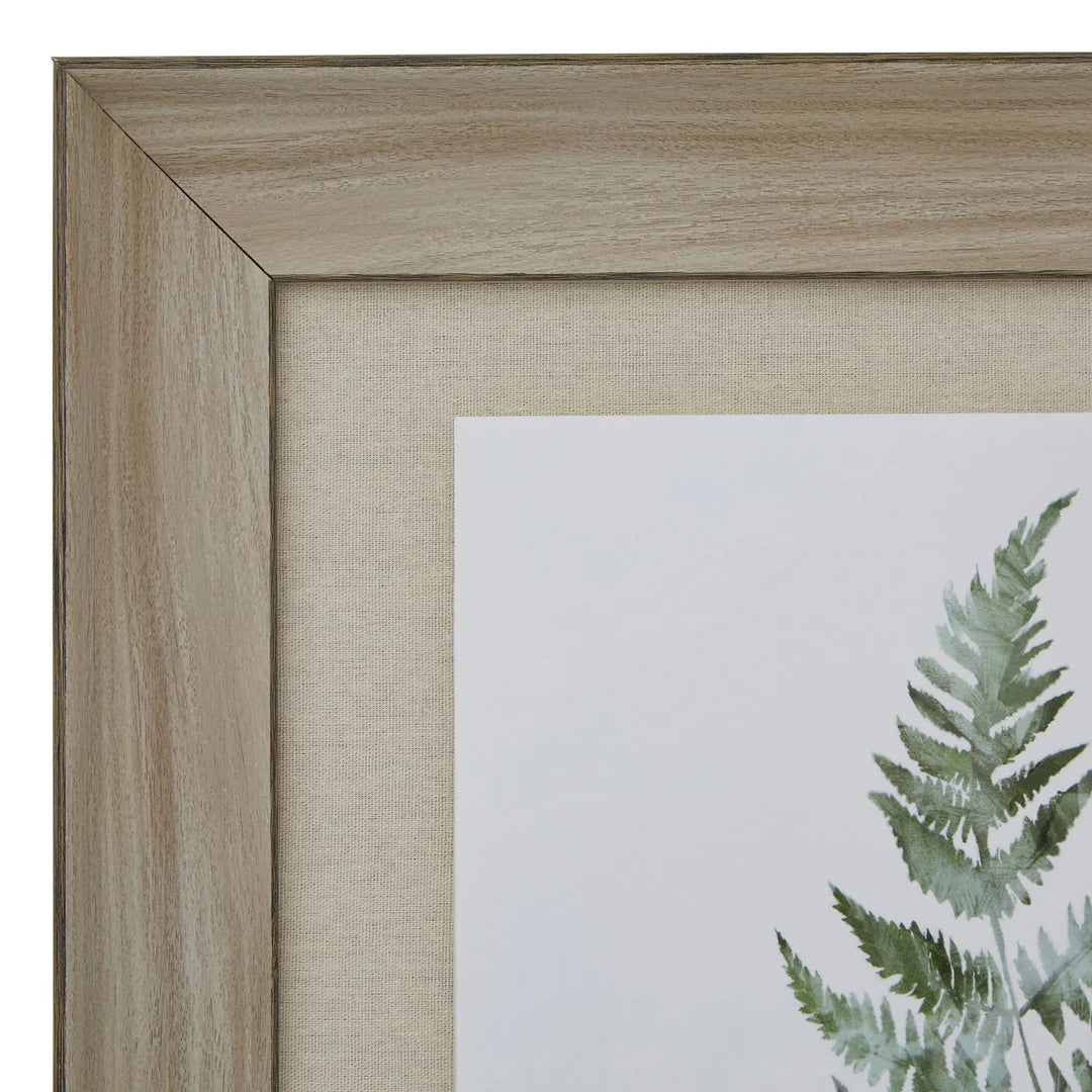 Watercolour Fern Duo In Washed Wood Frame