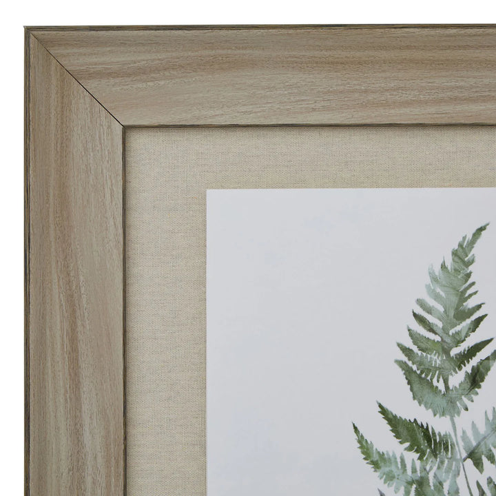 *Pre-order Watercolour Fern Duo In Washed Wood Frame