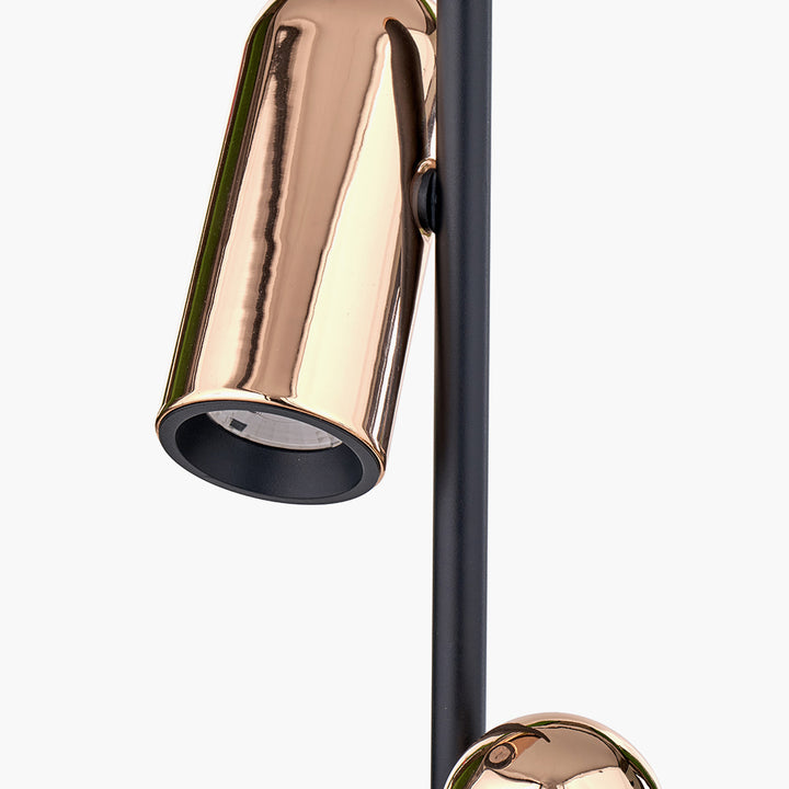 Xena Black and Rose Gold Metal LED Floor Lamp