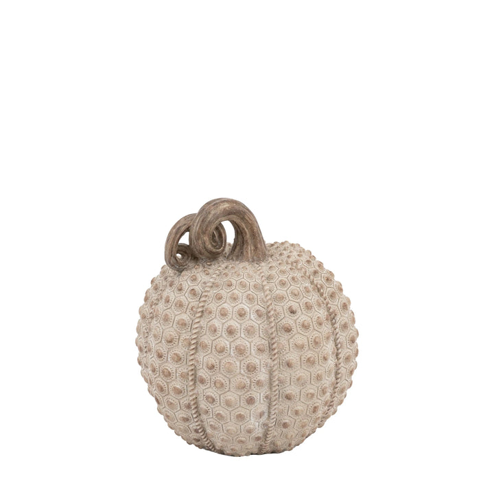 Resin Pumpkin Natural 22cm