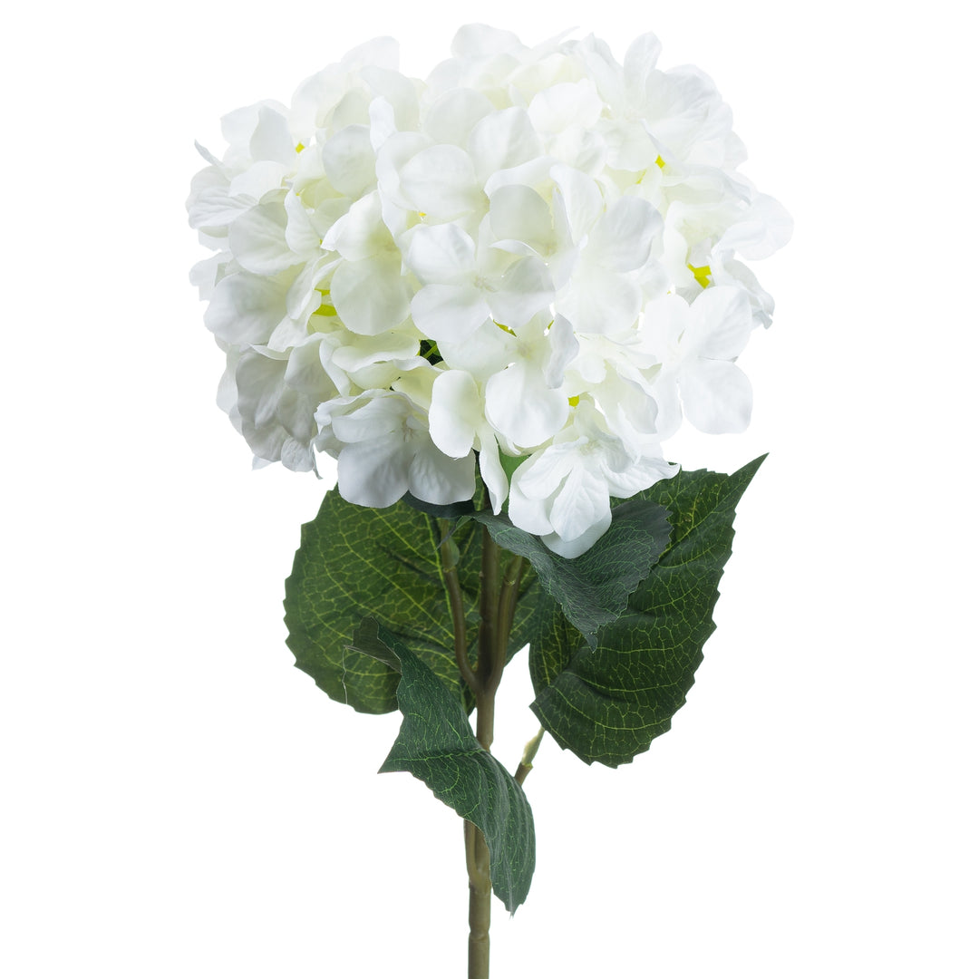 Single White Hydrangea 70cm