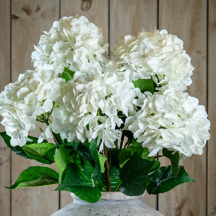 Single White Hydrangea 70cm