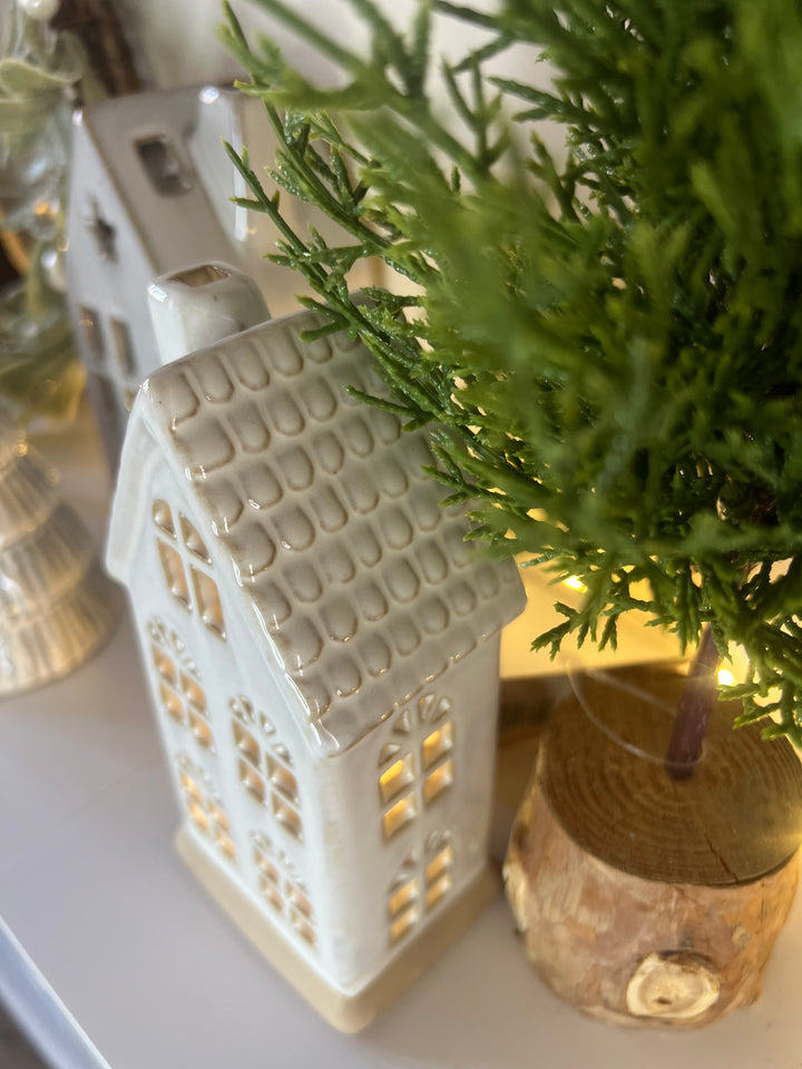 LED Natural House