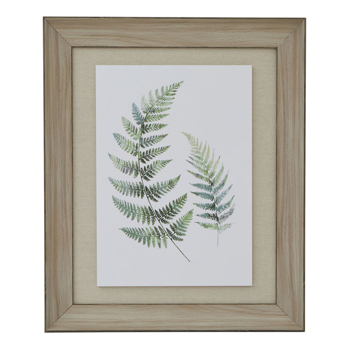 Pre-order Fern Trio Art In Wash Wood Frame