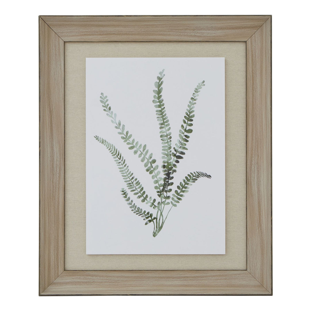 Pre-order Fern Trio Art In Wash Wood Frame