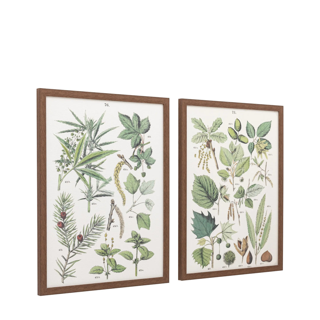 Foliage Study Framed Art Set of 2