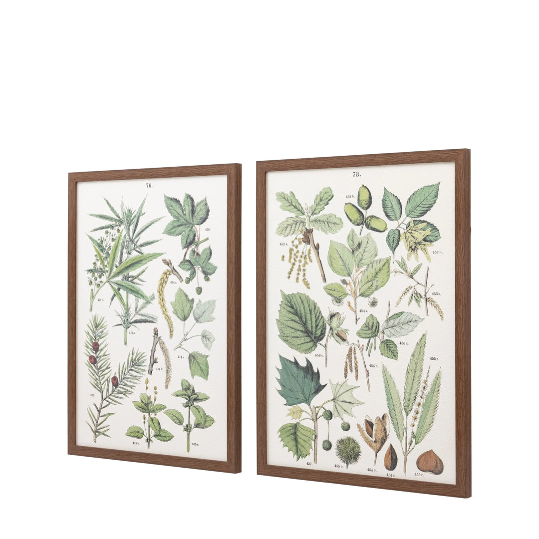 Foliage Study Framed Art Set of 2