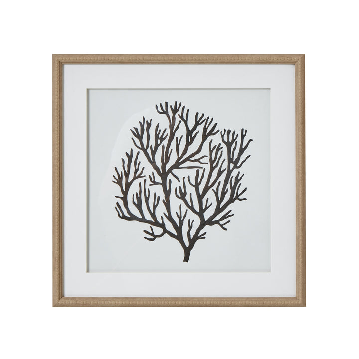 Coral Art Mounted In Beaded Frame 40cm