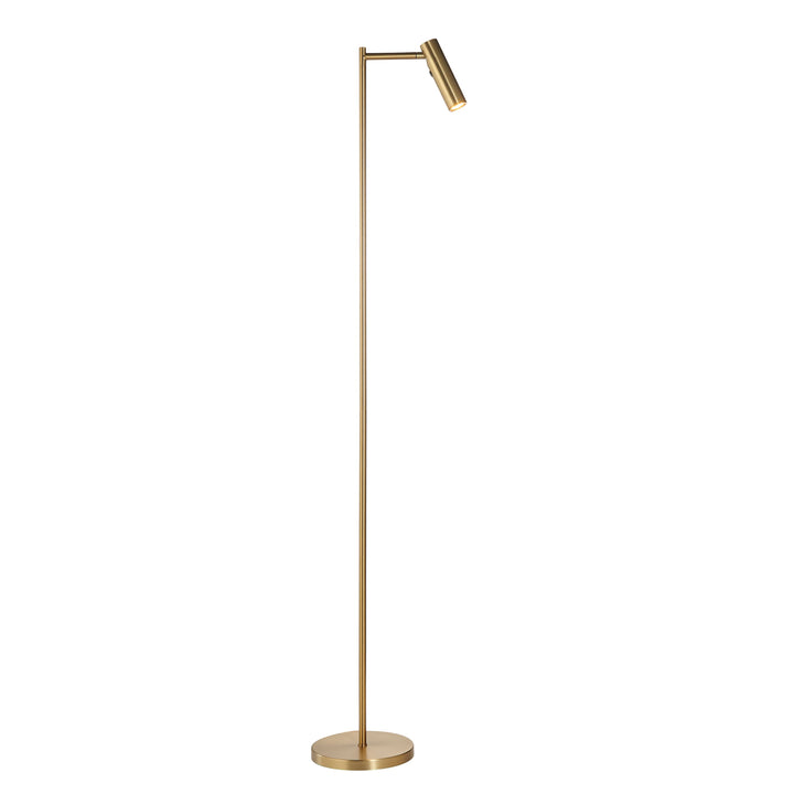 Brass Reading Light Floor Lamp 