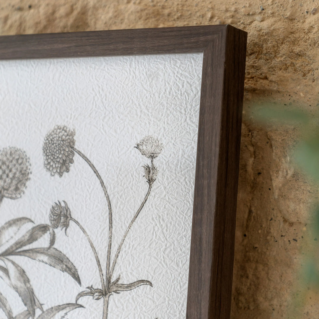 Trio Botanical Framed Art Set