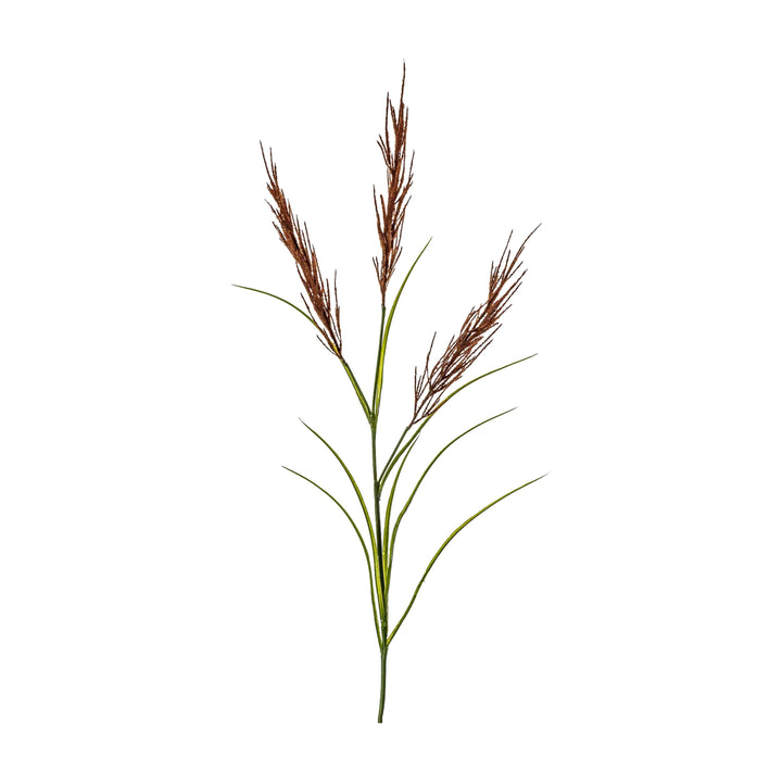 Pampas Spray Russet